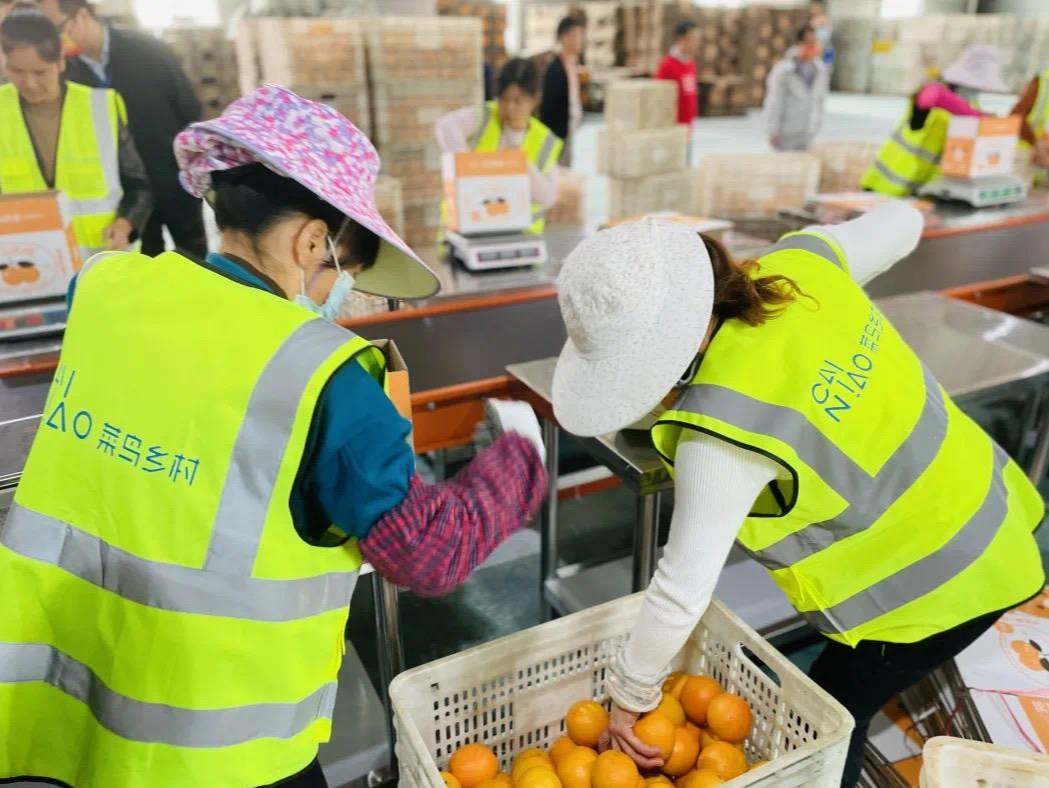 深圳：到2025年继续支援合作江西寻乌，模式不变、力度不减！