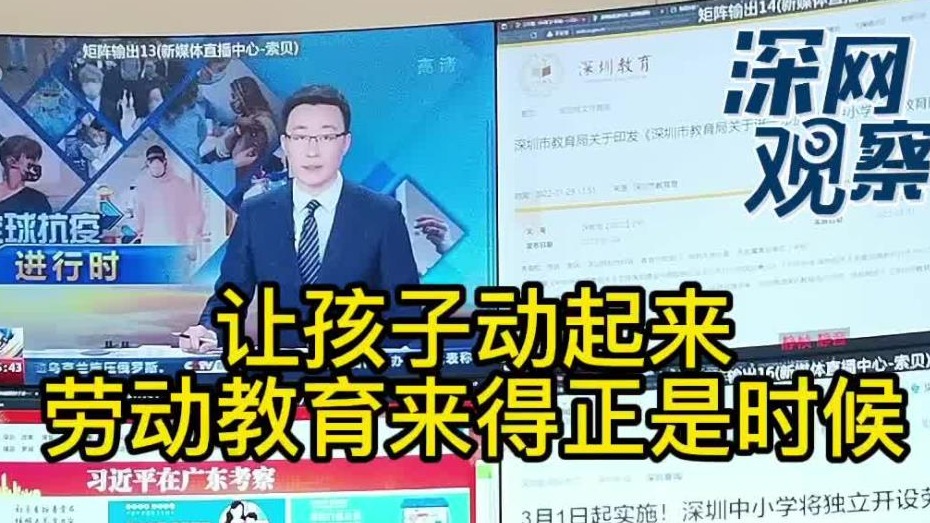 深网观察｜劳动教育，永不过时、必不可少
