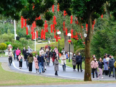 春节假期，你逛了哪个公园？深圳客流量排名前三的公园是它们