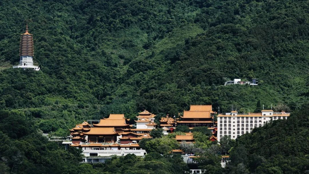 深圳弘法寺取消春节期间恢复开放的计划安排 