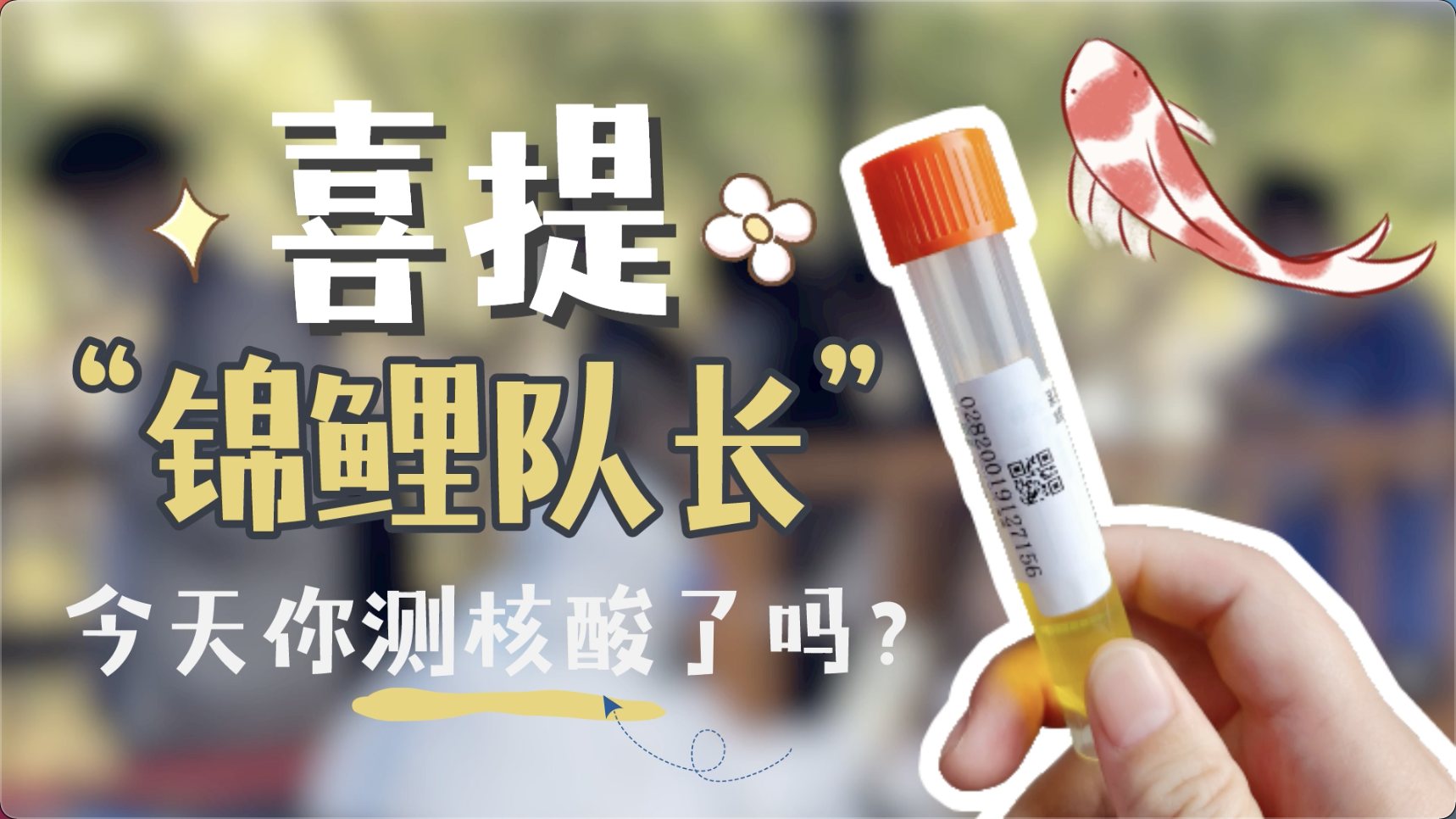 深圳人喜提“锦鲤队长”小幸运