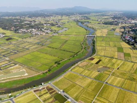 报告：粮农系统有潜力减少全球20%以上排放量