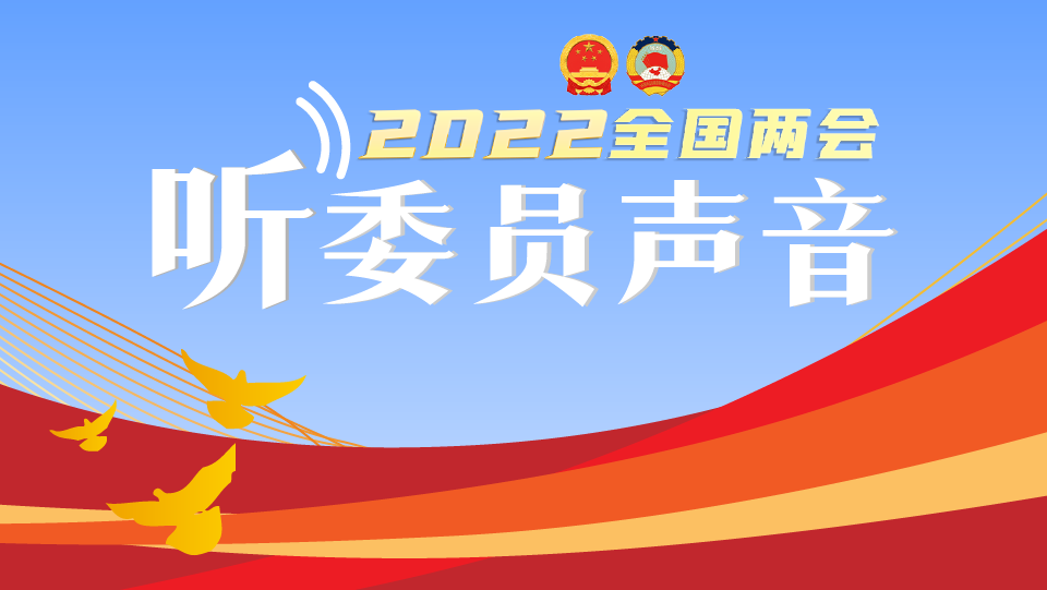 听，委员声音