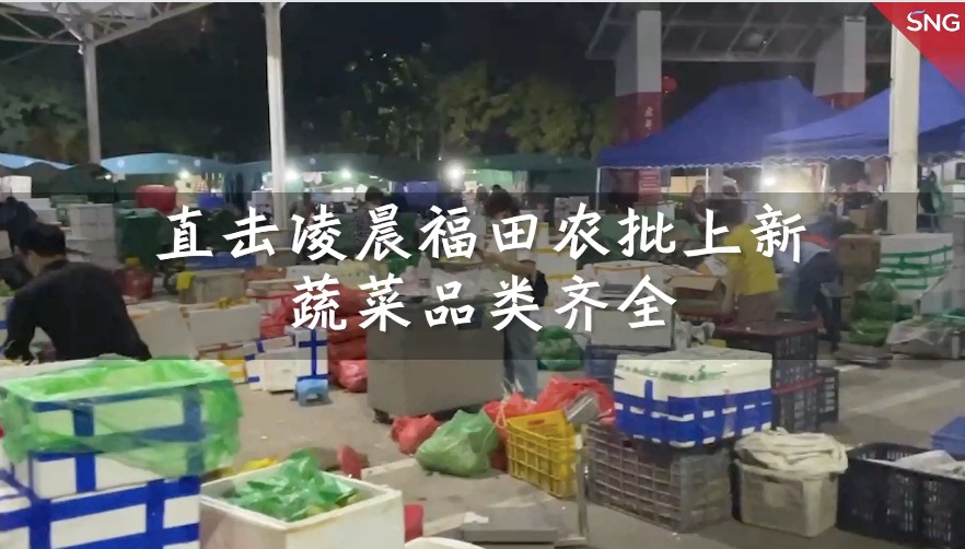 直击深圳福田农批市场凌晨整车上货