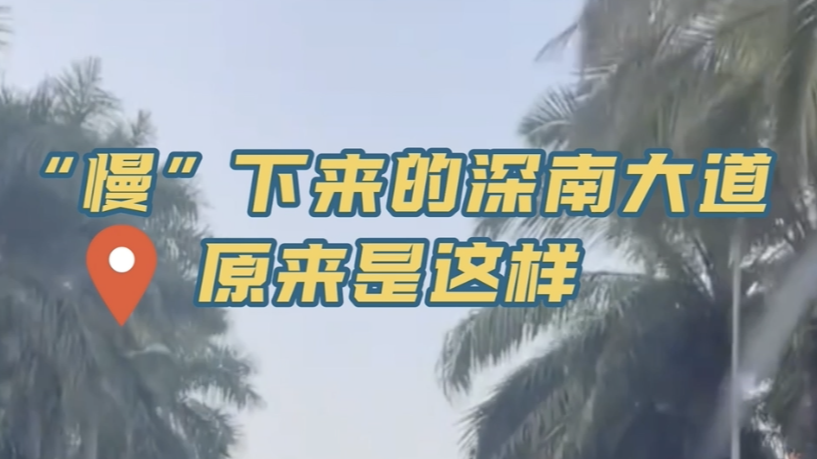 “慢”下来的深南大道原来长这样