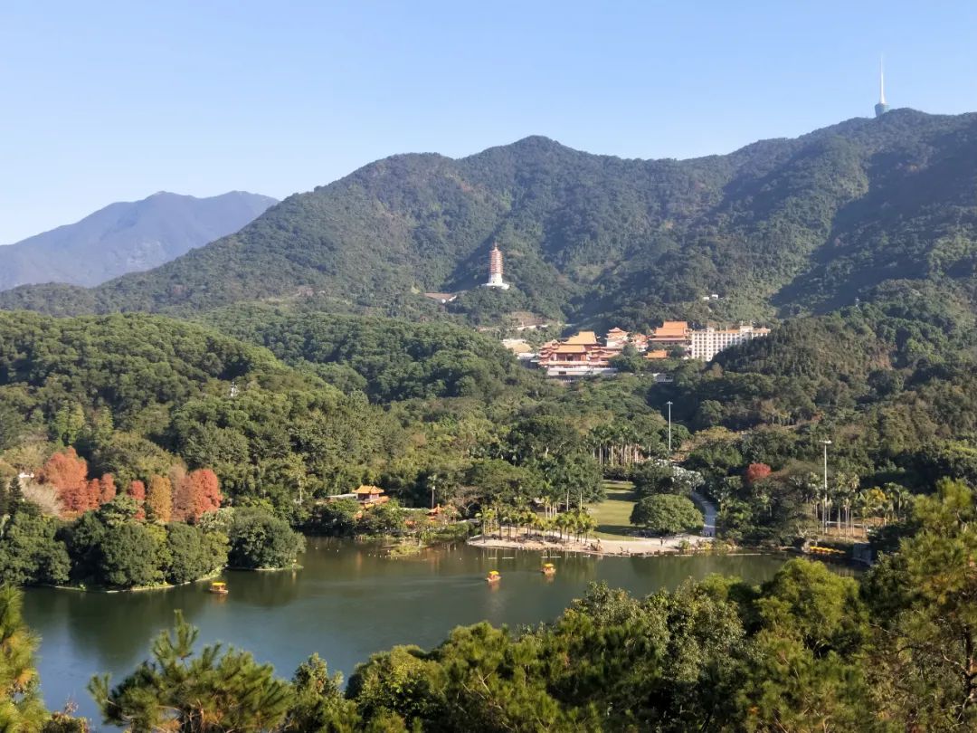 3月26-30日，深圳市仙湖植物园将停止售票、暂停游园