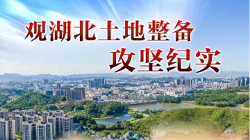 观湖北土地整备攻坚纪实