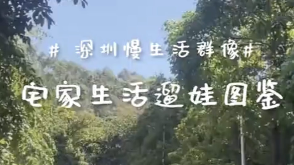 深圳慢生活遛娃图鉴