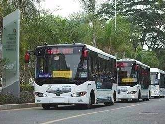 深圳全市850余条公交线路恢复运营，保证“一趟一消杀”