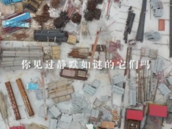 每天一分钟 静看慢深圳 ④