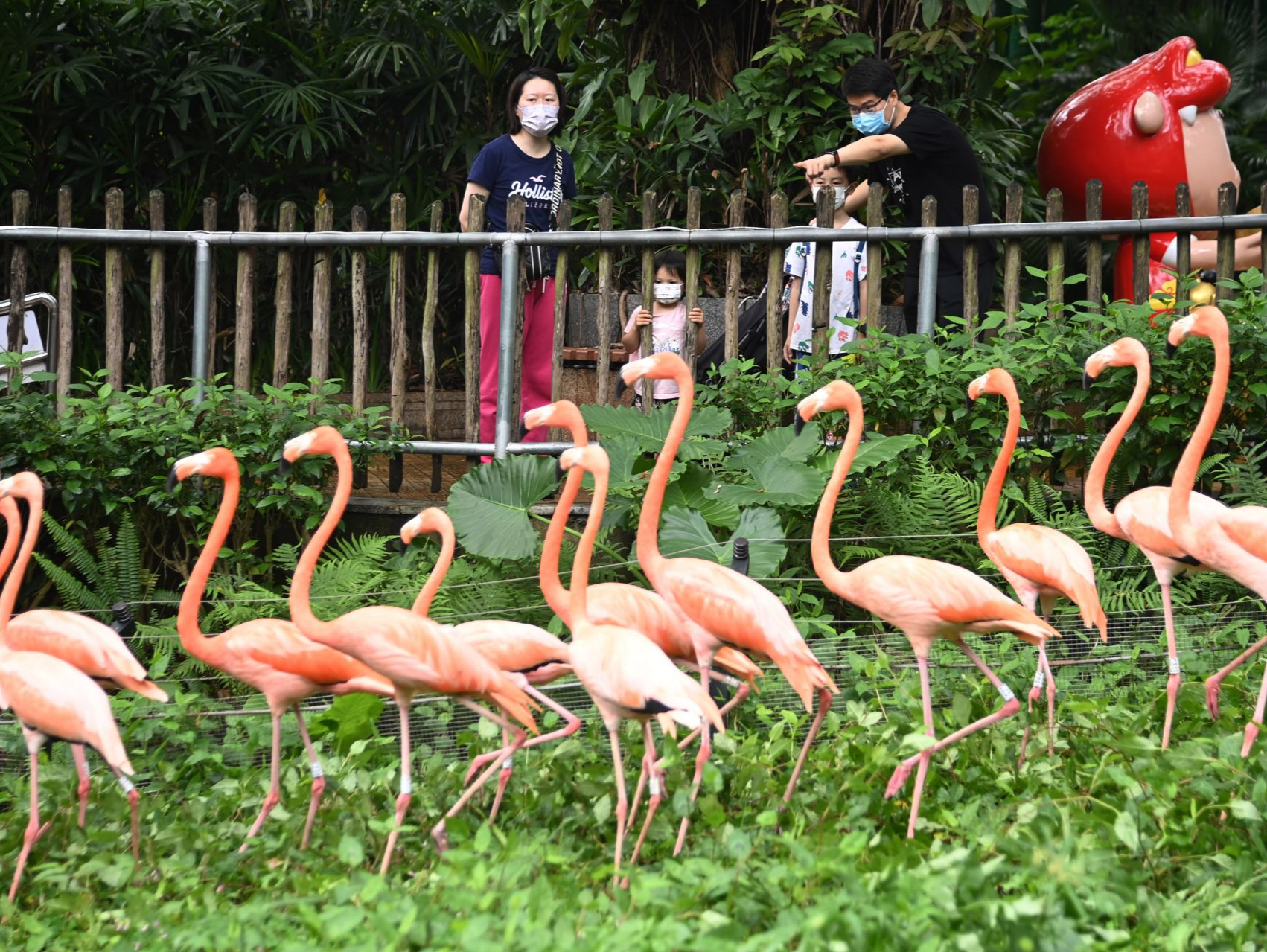 深圳野生动物园正式恢复开园迎客
