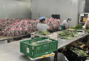 “供”战疫情！“慢生活”下的光明街道  “两新”企业快节奏抗疫故事