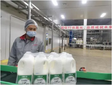 晨光乳业让市民喝上当日的好鲜奶
