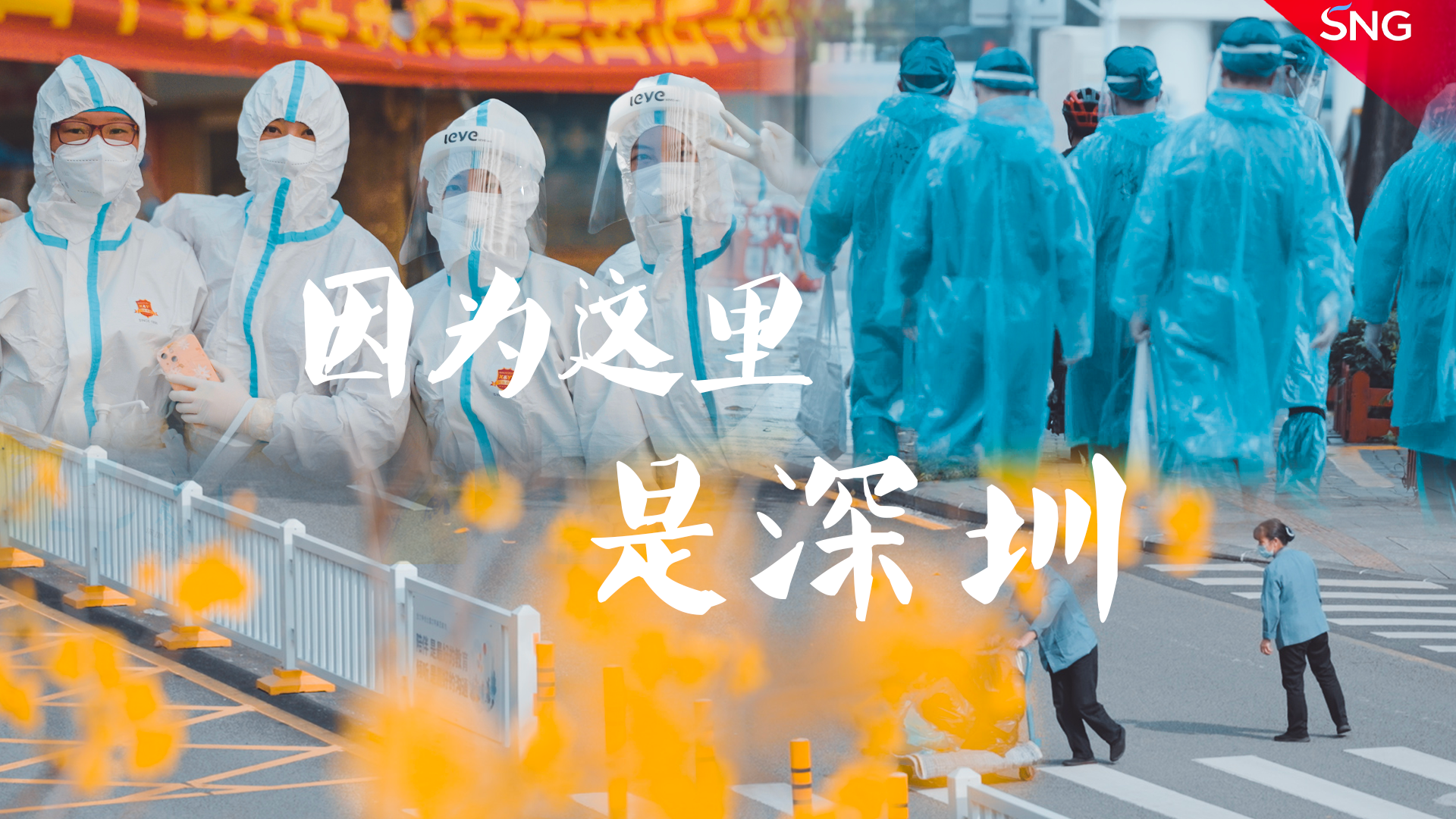 因为这里是深圳