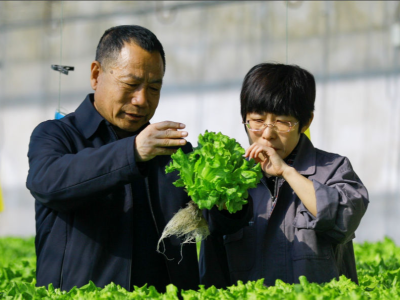 “一亩地”的供给侧改革——天津现代都市型农业“种”出新高度