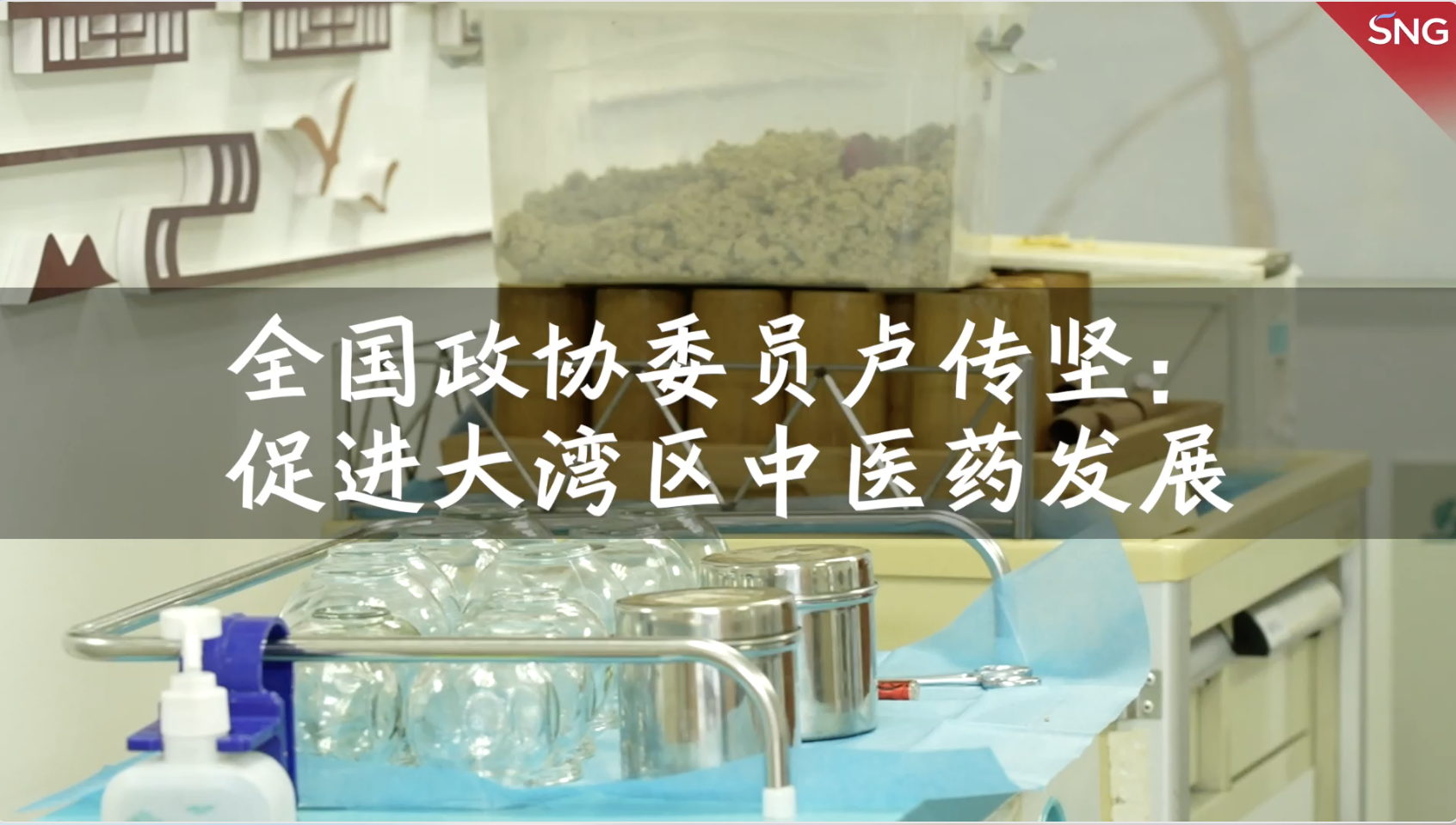 全国政协委员建议促进大湾区中医药发展