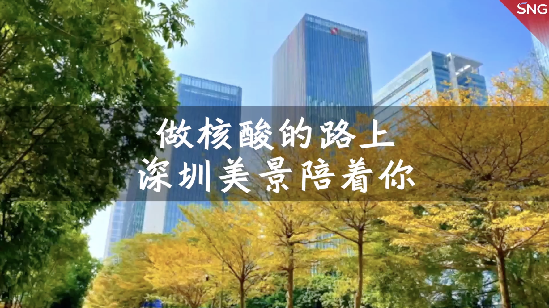 做核酸的路上，深圳美景陪着你