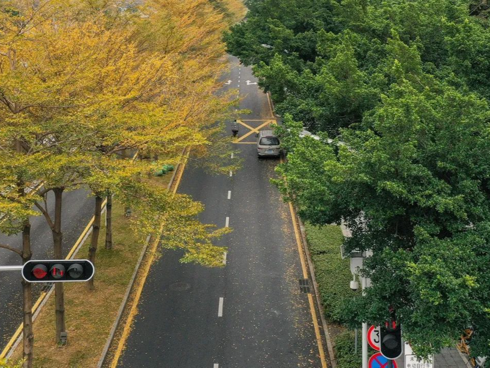 你在封控区奋战“打怪”，我把深圳春天拍给你看