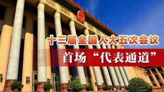 直播回顾 | 十三届全国人大五次会议首场“代表通道”