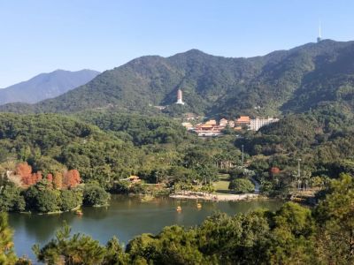 4月1日深圳市仙湖植物园恢复开放