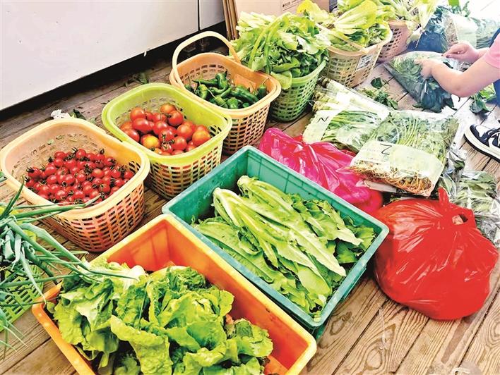上万斤免费蔬菜送到居民手中 凤凰山农趣谷保障管控区、居家隔离居民物资供给