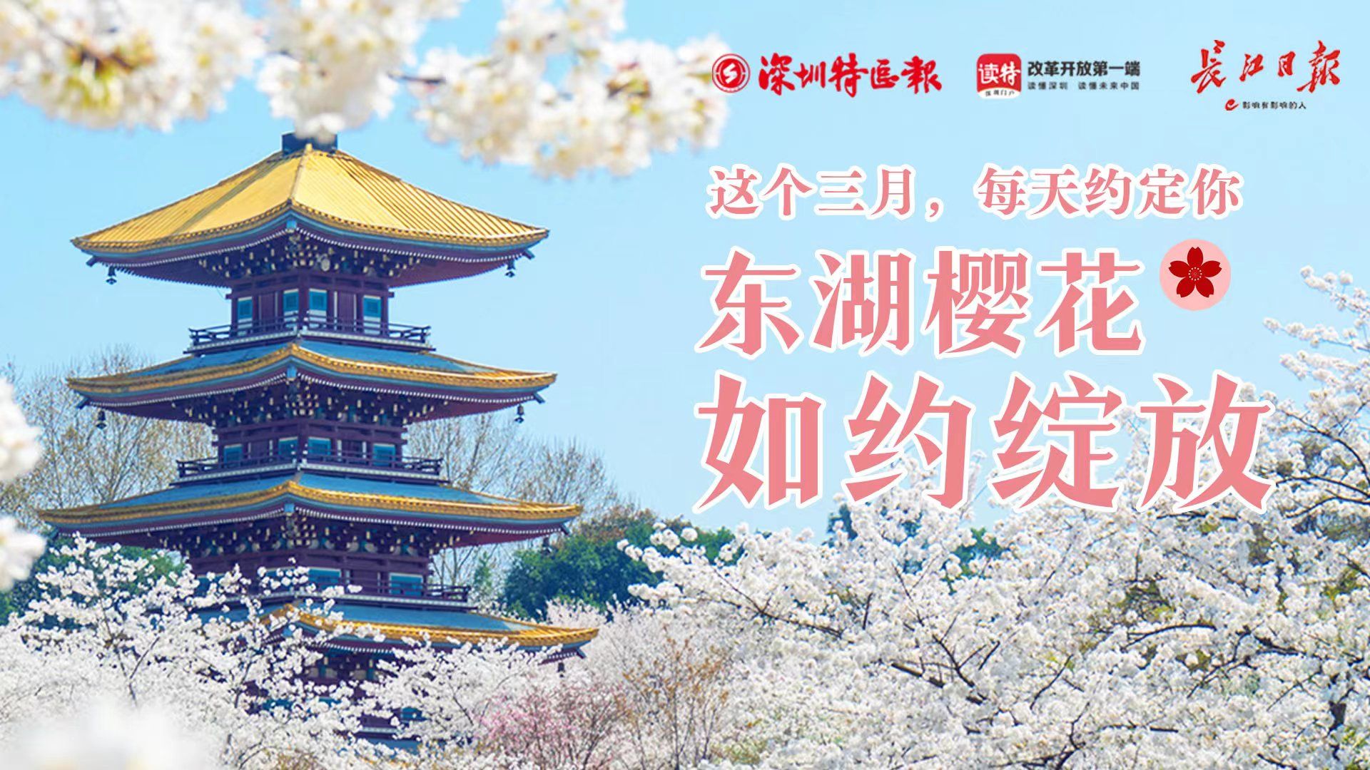 东湖樱花云赏季 | 这个三月，每天约定你