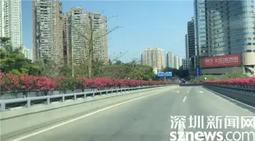 深圳“慢生活”|罗湖市民花样宅家生活，有人精致有人消瘦