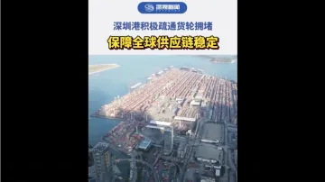 深圳积极疏通货轮拥堵 ，保障全球供应链稳定