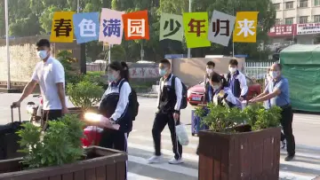 春色满园，少年归来