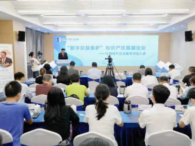 龙华法院举办“数字权益保护”知识产权高端论坛