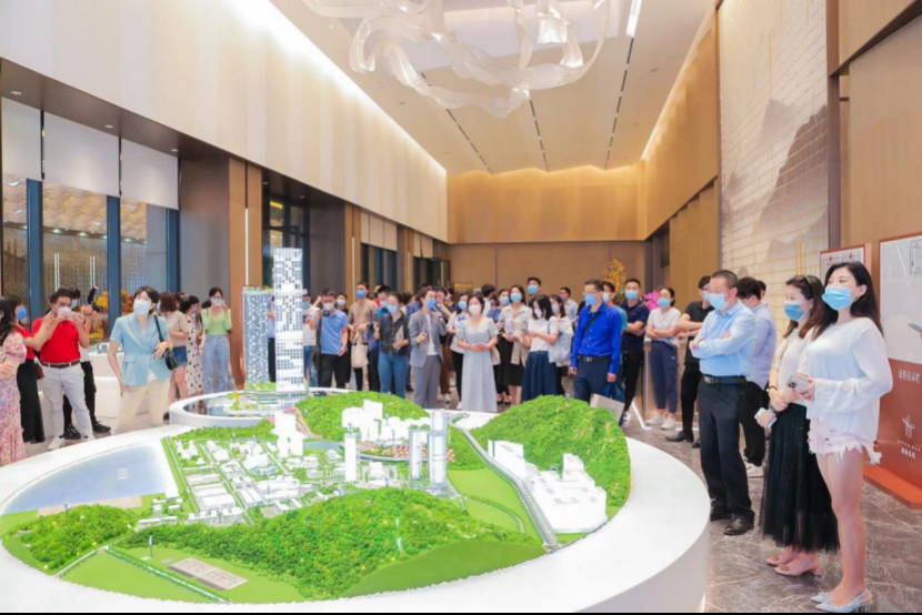 房地产市场未来走向及粤港澳大湾区价值研讨会举行