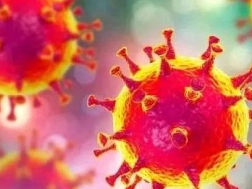 英国科学家最新研究：感染普通冠状病毒不会产生有效新冠抗体