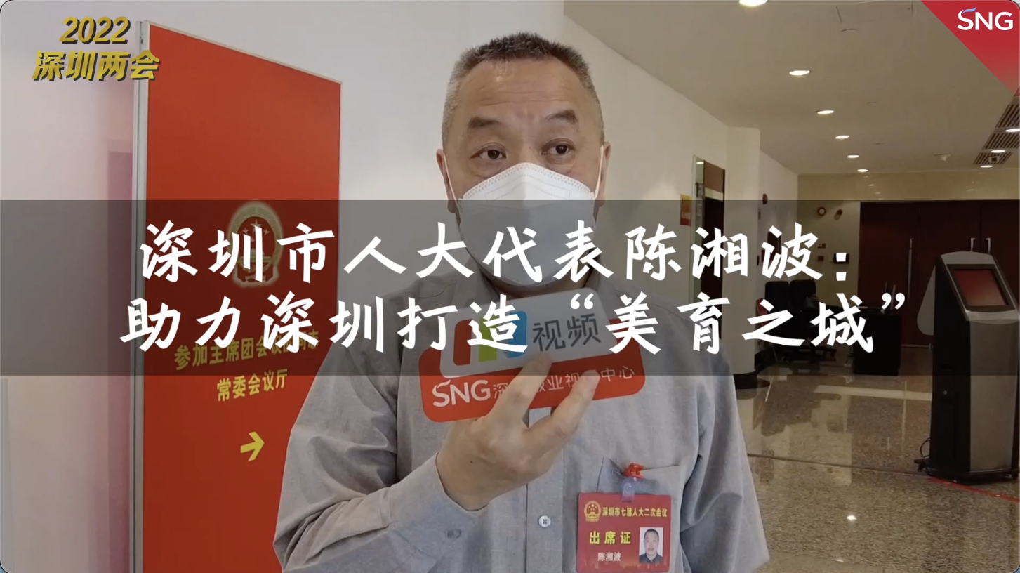 深圳市人大代表陈湘波：让美育助推公民文化素养提升