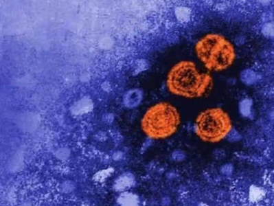 英国卫生官员：儿童突发性肝炎的增加与腺病毒感染有关