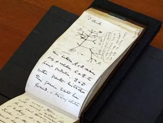 失窃21年的达尔文笔记被匿名归还 内含“生命之树”草图