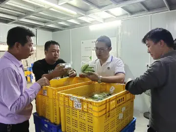 培养“领头雁”带动新发展，深圳帮扶驻汕头金灶镇工作队因地制宜探寻乡村振兴新模式