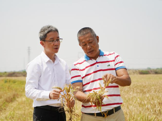 到一线把握数据脉搏，国家统计局三水调查队坚持做好数据采集及服务工作
