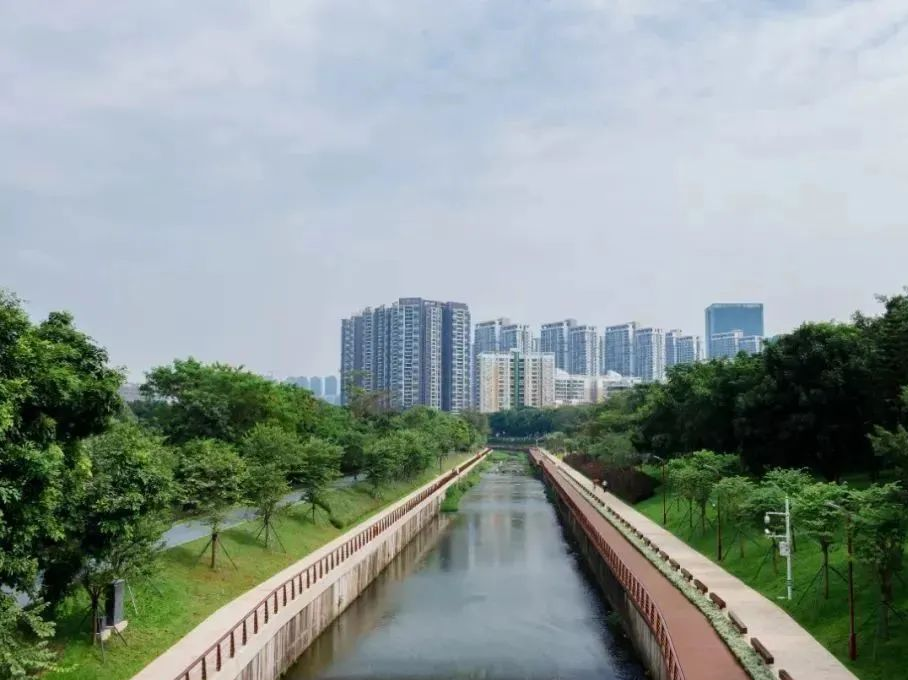 周末去哪玩(8) | “夏天来临前，我要逛遍深圳的公园”