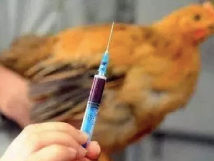 河南省发现一例人感染H3N8禽流感病例