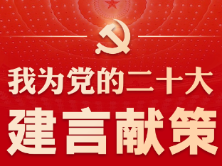 我为党的二十大建言献策