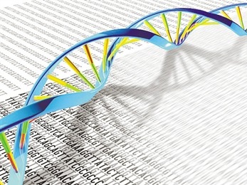 研究人员公布首个完整人类基因组序列