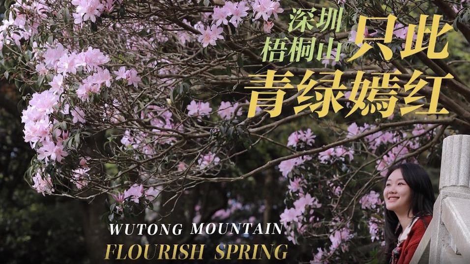 深圳有滋味（双语版）第33期：只此青绿嫣红