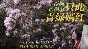 深圳有滋味（双语版）第33期：只此青绿嫣红