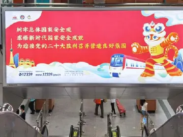 宣传总体国家安全观，佛山这样“花式”普及！