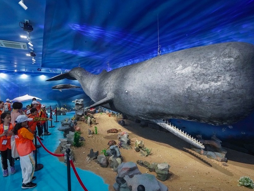 惠州抹香鲸主题馆“五一”起有序恢复开放