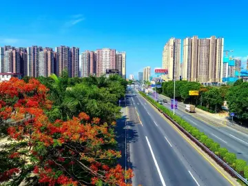 【两会先声②】奔向未来之城，坪山拔节向上的力量