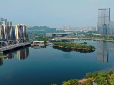 广州南沙打造粤港澳大湾区高端、专业的知识产权服务高地