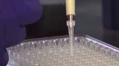 中方坚决反对任何国家研发或使用生物武器