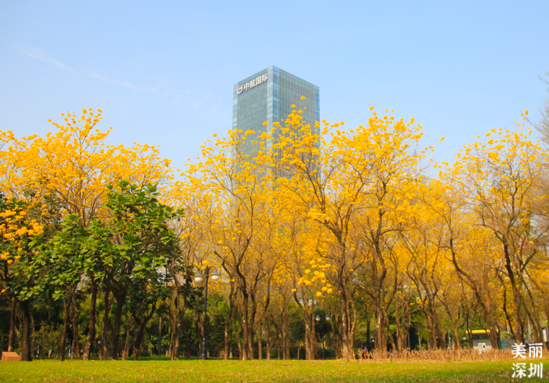 春色迷人！来“百园之区”寻觅城市中的绿洲吧

