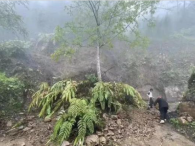 突发泥石流致6人失联，云南：迅速部署全省地质灾害隐患排查